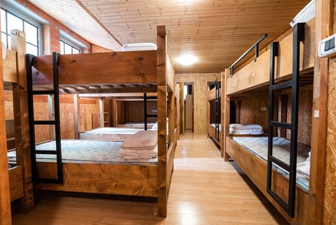 Shared Dormitory (Bed in dormitory room) | 16 bedrooms