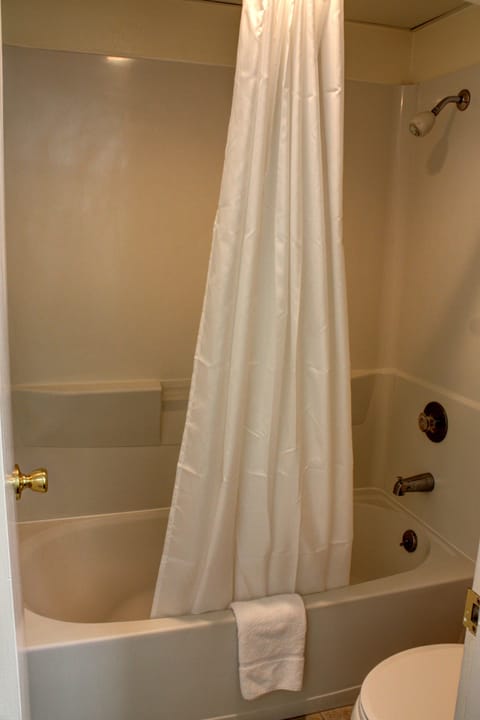 Single Room | Bathroom shower