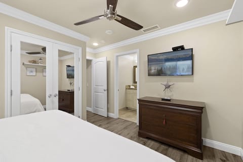 Downstairs Master bed with attached bathroom, mirrored closet, TV, Cieling fan