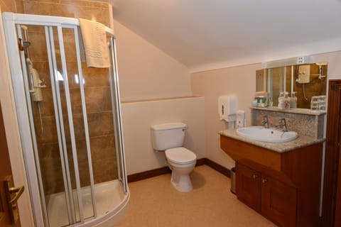 Double Room | Bathroom shower