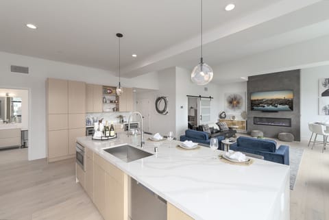 Fully Equipped Gourmet Kitchen