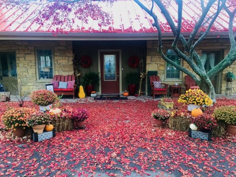 Fall here is breathtaking! The front Japanese Maple is beautiful!