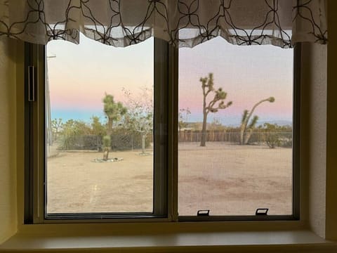 Kitchen window, looking out to the desert land.
