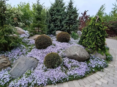 House | Property grounds