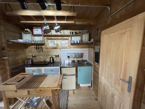 Cabin | Private kitchen | Fridge, microwave, oven, stovetop