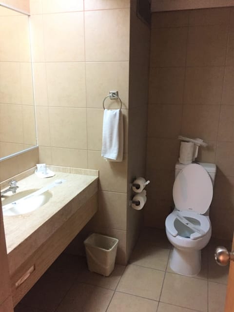 Towels, soap, shampoo, toilet paper