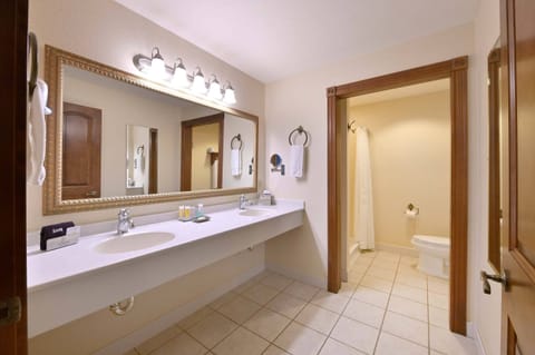 Executive Suite | Bathroom | Free toiletries, hair dryer, towels
