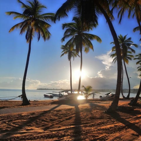 Beach nearby, white sand