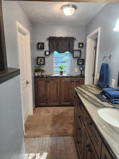 Downstairs Master Bath 