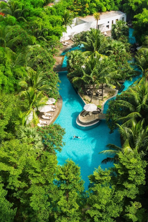 Outdoor pool, sun loungers