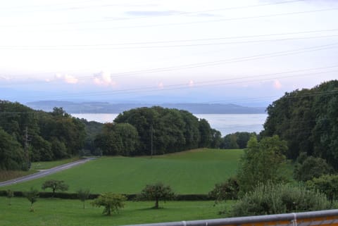 View from the living room and kitchen