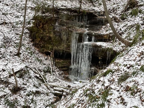 Another picture from private trail