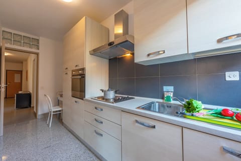 Family Apartment, 2 Bedrooms (City Apartment) | Private kitchen | Fridge, microwave, oven, stovetop