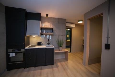 Apartment, 1 Bedroom | Private kitchen | Mini-fridge, oven, stovetop, dishwasher