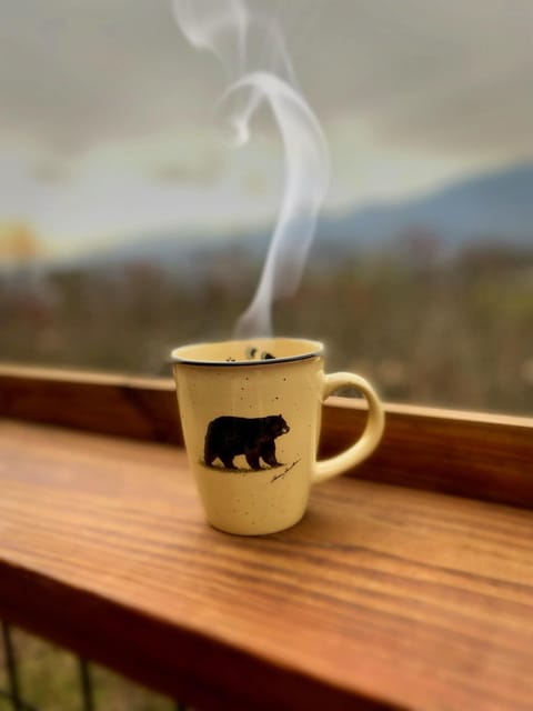 Hot coffee from Bearadise mugs. Yummy! (taken by guest, used with permission).