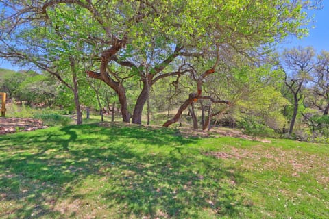 View from the deck looking into the backyard