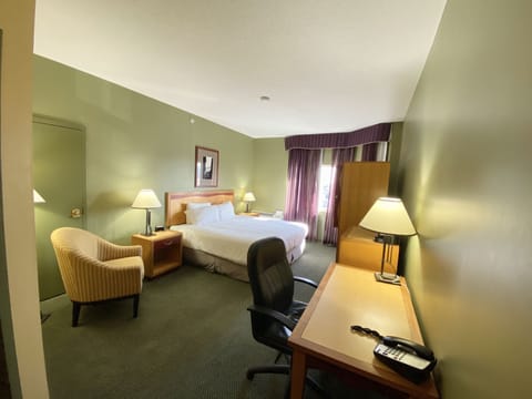 Deluxe Room, 1 King Bed | Premium bedding, pillowtop beds, in-room safe, individually decorated