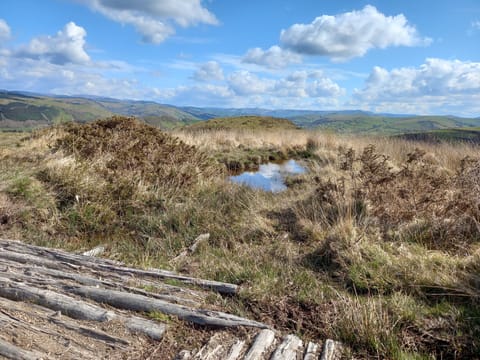 Just above Machynlleth - part of the Glyndwrs Way