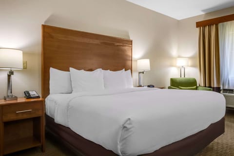 Room, 1 King Bed, Accessible, Non Smoking | Egyptian cotton sheets, premium bedding, down comforters, pillowtop beds