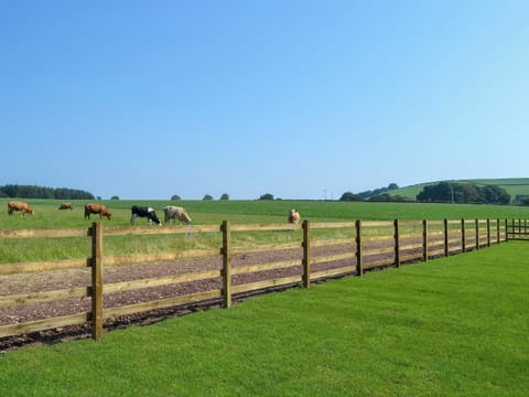 View | Auchen Ladder, Amisfield, near Dumfries