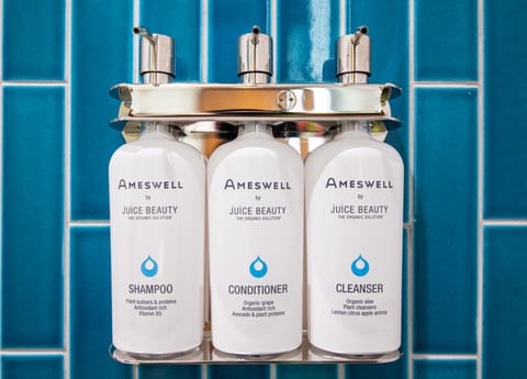 Rainfall showerhead, designer toiletries, hair dryer, bathrobes