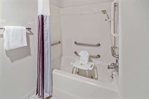 Combined shower/tub, free toiletries, hair dryer, towels