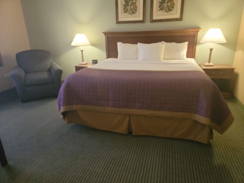 Deluxe Room, 1 King Bed | Desk, soundproofing, iron/ironing board, free WiFi