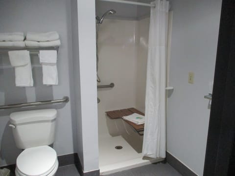 Room, 1 King Bed, Accessible, Non Smoking (Mobility,Roll-In Shower) | Bathroom | Free toiletries, hair dryer, towels, soap