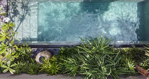 One Bedroom Pool Villa | Garden view