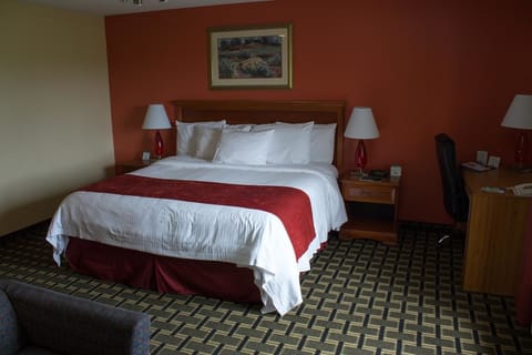 Standard Room, 1 King Bed | Egyptian cotton sheets, premium bedding, down comforters, pillowtop beds