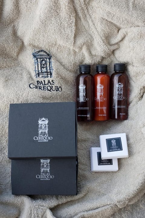 Rainfall showerhead, free toiletries, hair dryer, bathrobes