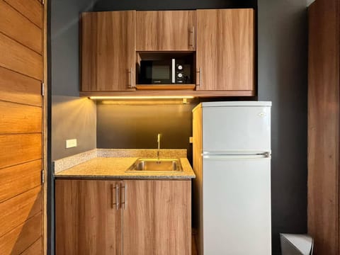 Bunk Beds | Private kitchen | Fridge, microwave, electric kettle