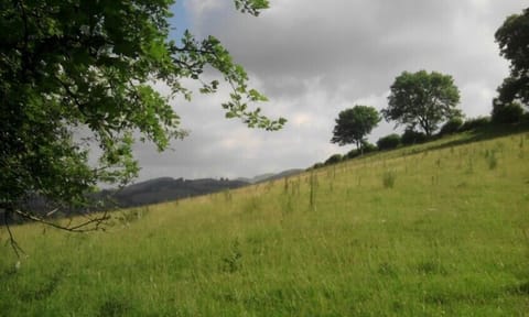 The countryside above the garden