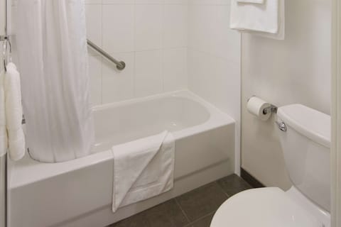 Combined shower/tub, free toiletries, hair dryer, towels