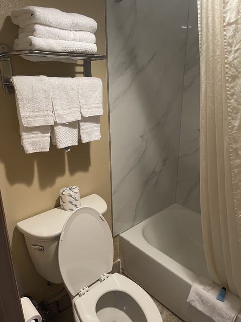 Room, 2 Queen Beds | Bathroom | Combined shower/tub, free toiletries, hair dryer, towels