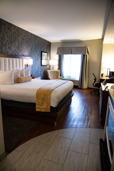Standard Room, 1 King Bed, Non Smoking (Walk-in Shower) | Desk, laptop workspace, blackout drapes, iron/ironing board