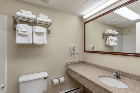 Room, 1 King Bed, Non Smoking (Upgrade) | Bathroom | Eco-friendly toiletries, towels