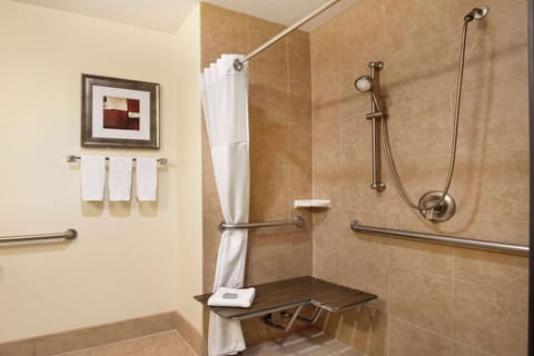 Combined shower/tub, hair dryer, towels