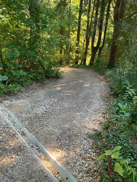 Gravel Driveway w Rain Diverters can be bumpy