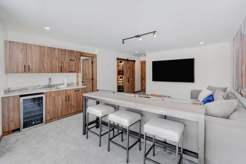 Home Theatre with Counter Bar Area