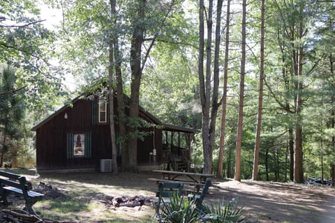 Side Yard from fire pit