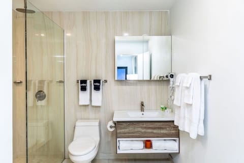 Family Room | Bathroom | Shower, rainfall showerhead, free toiletries, hair dryer