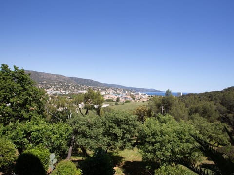 Sky, Plant, Plant Community, Mountain, Natural Landscape, Cloud, Tree, Landscape, Mountainous Landforms, Horizon