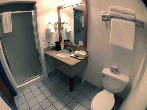 Economy Room, 1 Queen Bed (Near Ice Machine) | Bathroom | Free toiletries, hair dryer, towels