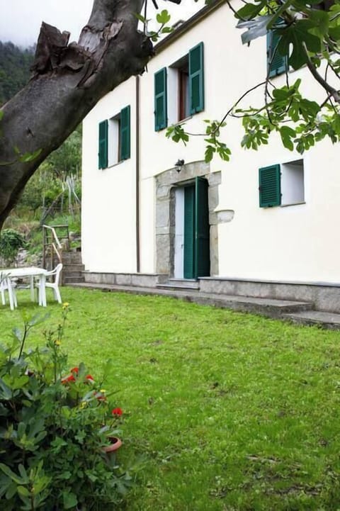 33d4d08b 571a 4147 8998 a5051a487d52