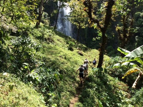 Hiking