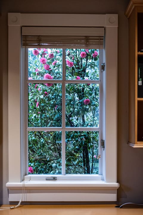 Looking outside of the office window