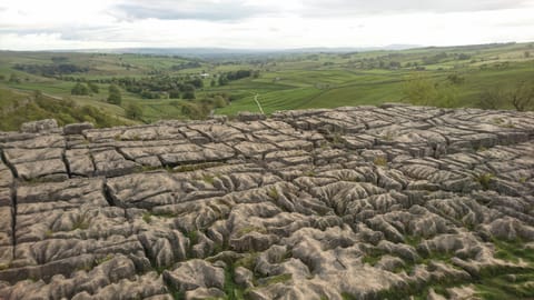 Cottage | Miscellaneous