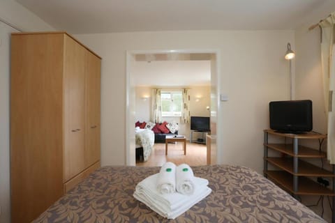 Premier Double Room, 1 Bedroom | Individually decorated, individually furnished, blackout drapes, WiFi