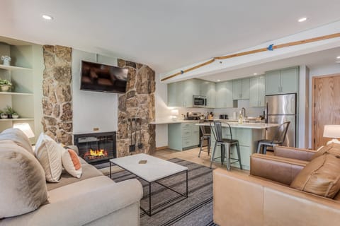 Living area with wood-burning fireplace